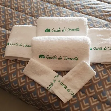 Quinta Da Tormenta -14 Pessoas- 2 Casas E Piscina Privada 度假居 *