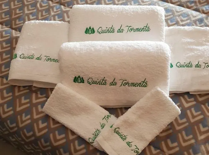 Quinta Da Tormenta -14 Pessoas- 2 Casas E Piscina Privada Prázdninový dům *